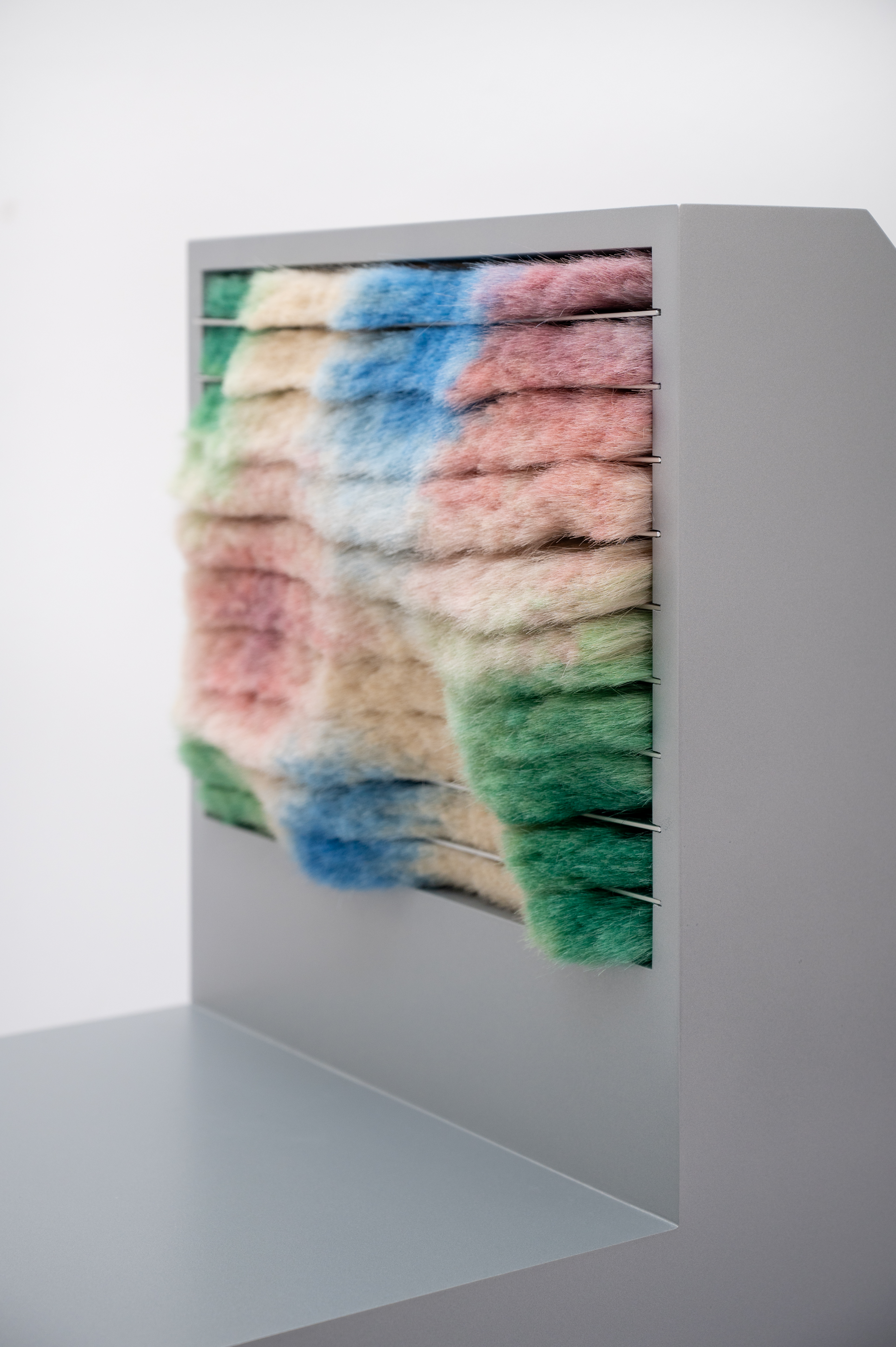 Postanthrobiosis I detail