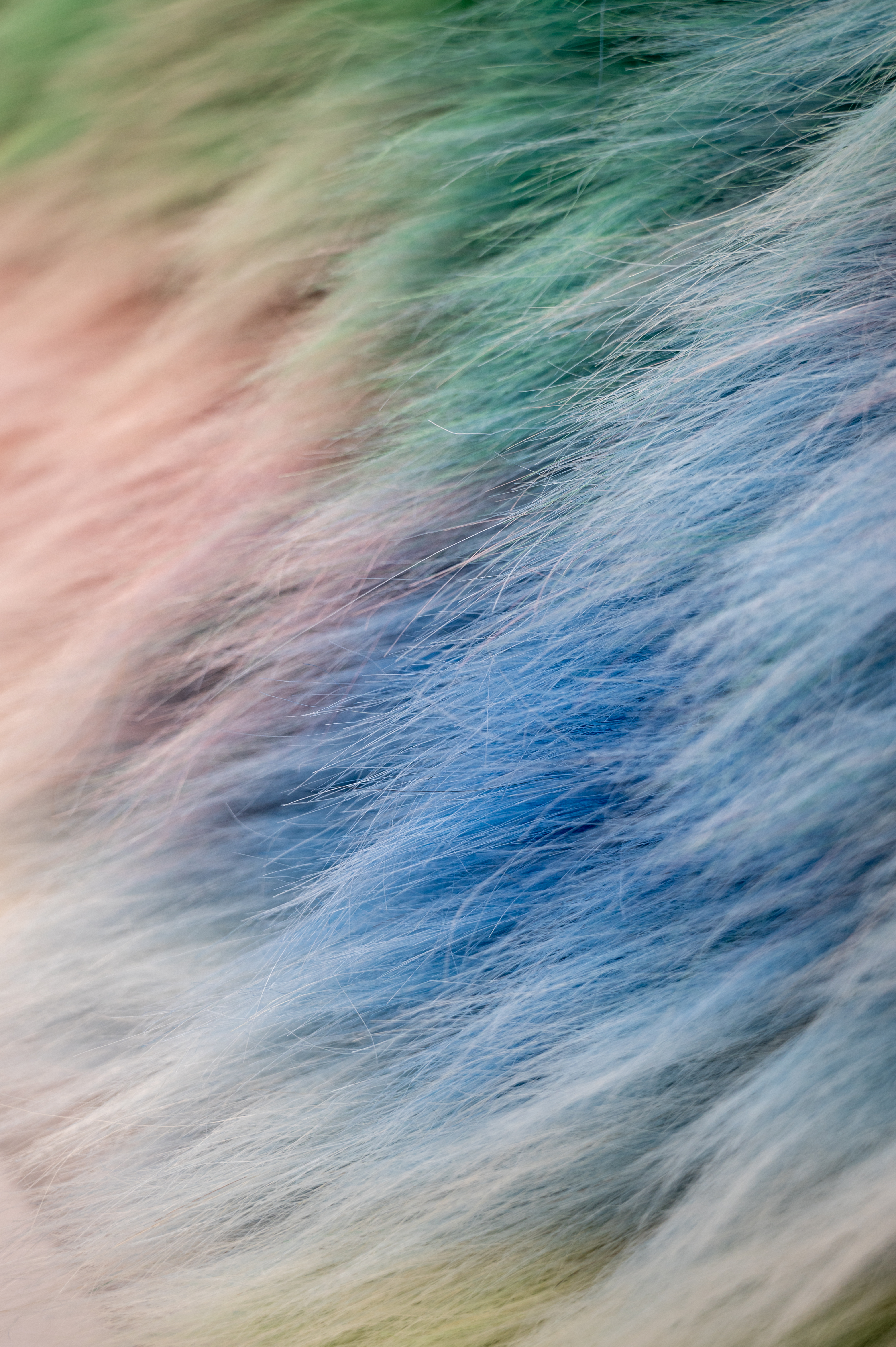 Postanthrobiosis I detail