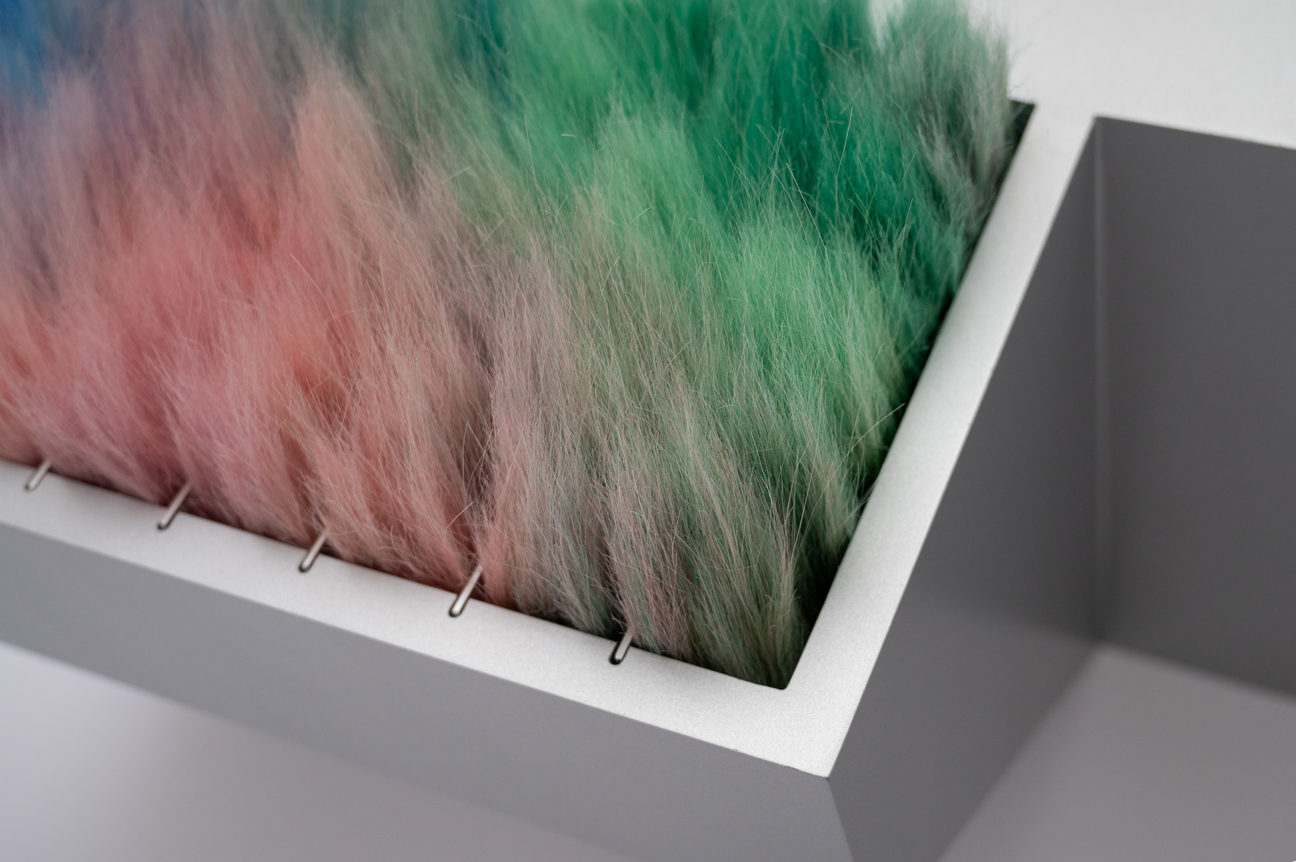 Postanthrobiosis II detail